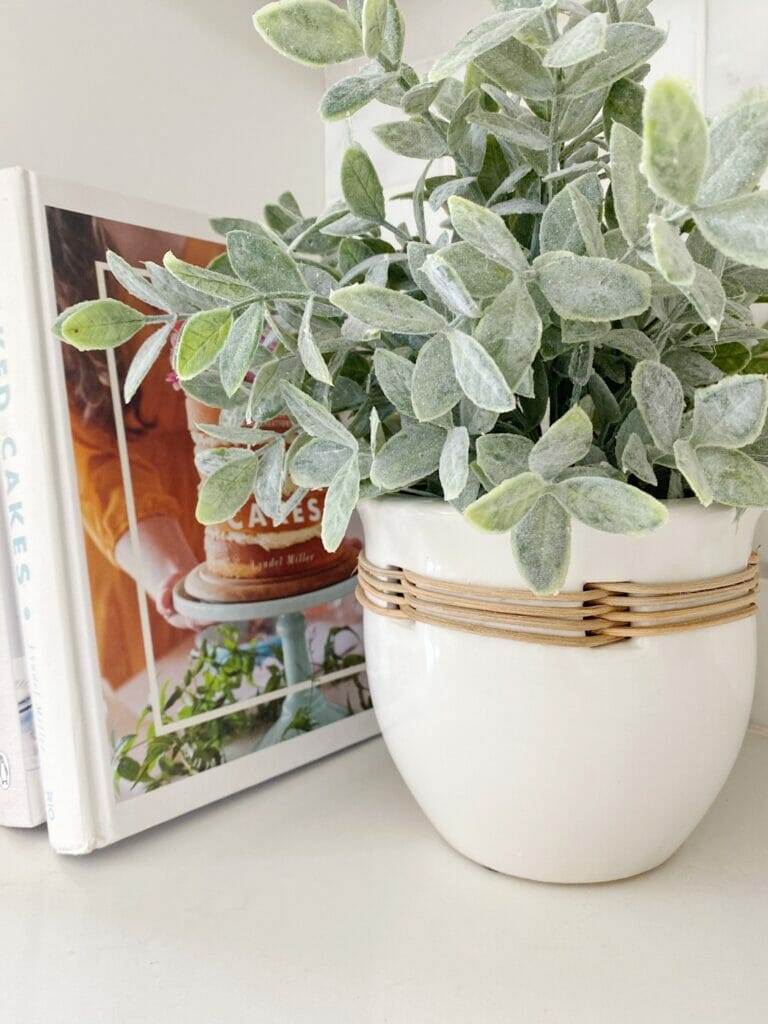 white and wood plant